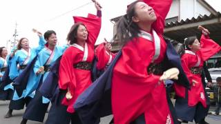 聯・2016吾妻さんよさこい・パレード会場