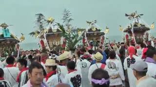 平成28年度浜降祭　鶴嶺八幡宮地区4社浜降祭祭典場着座