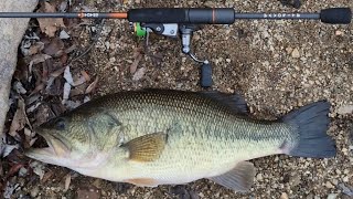 Testing my new Favorite Totem spinning rod on a Largemouth bass