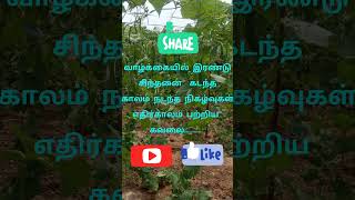 வாழ்க்கையில் இரண்டு சிந்தனை, life motivation quotes