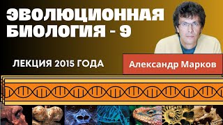 Эволюция секса, многоуровневый отбор и эгоистичные гены. Эволюционная биология - 9