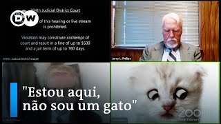 Advogado é traído por filtro de gatinho em audiência virtual nos EUA