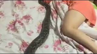 SNAKE HUGS A GIRL WHILE she sleep