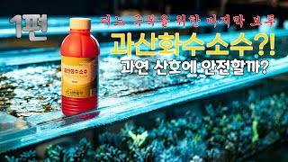 디노 극복의 마지막 보루 - 과산화수소수 과연 산호에 안전할까? 1편!