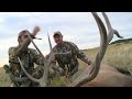 5 archery bulls best of michael waddell