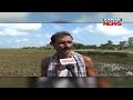 kendrapara lots amount of cultivation damage due to flood some reactions