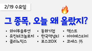 오늘 상한가, 급등 종목과 이유: 와이투솔루션, 유진테크놀로지, 클리노믹스, 동화기업, 한국맥널티, 포스코DX, 맥스트, 코세스, 아이에스티이