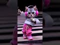 Cute cat 🐈 dance #catdance #cat #catlover #newsong #pushpa2 #kingofyoutube