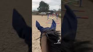 What horses See whilst Jumping 🐴🥺🥰