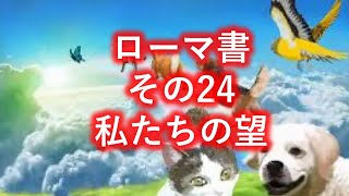 聖書494 ローマ書 8:18-25, 私たちの望