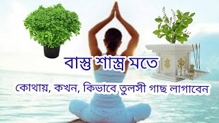 বাস্তু শাস্ত্র মতে তুলসী গাছ Vastu tulsi direction #vastu #garden #tulsi #basil #gardeningtips