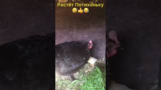 🐥Растём Потихоньку!!!👍😜