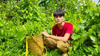 Hong boy harvests parsley and sells it at the market improving daily life.