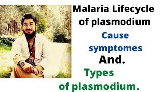 malaria : life cycle of malaria || symptoms of maria  / malarial symptoms  || plasmodium and types .