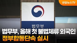 법무부, 올해 첫 불법체류 외국인 정부합동단속 실시 / 연합뉴스TV (YonhapnewsTV)