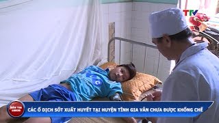 (TTV) - Các ổ dịch sốt xuất huyết tại huyện Tĩnh Gia vẫn chưa được khống chế