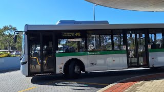 [Many Choices] Transperth Bus Route No. 442 (TP2159) Whitfords Station to Warwick Station