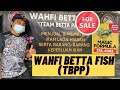 FANCY LAWA2 BOLEH CARI DI FARM INI !!! WAHFI BETTA FISH !! TEAM BETTA PAP-PAP !! JOMM!!