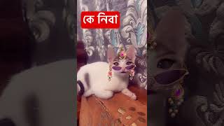 💥মাত্র দুই লক্ষ টাকা😱@TaniaAkter-gm3mi #cat #pets