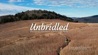 Mt. Rogers and the Grayson Highlands // 3-day hiking loop