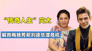 “手握大权”向太，捧红应采儿解救梅艳芳，如今一手操控向佐婚姻