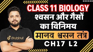 मानव श्वसन तंत्र Human Respiratory System | Class 11 | Biology | श्वसन और गैसों का विनिमय L 2