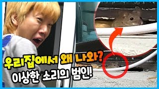 집에서 이상한 소리가!! 범인은 쥐?! 너무 싫어 ㅠㅠ 과연 잡을 수 있을까? 타운하우스 단점 ㅋㅋㅋ 일상 공개 Vlog | 말이야와친구들