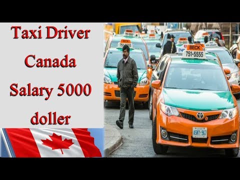 Taxi Driver need in Canada || Taxi driver Salary || Visa Taxi Driver need in Canada || Taxi driver Salary || Visa