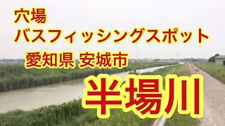 半場川  穴場 バス釣りポイント 愛知県 安城市 ブラックバス