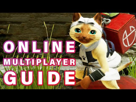 ONLINE Multiplayer Guide and Tips Monster Hunter Rise