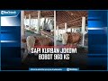 Penampakan Sapi Kurban dari Jokowi di Masjid Al-Wustho Mangkunegaran Solo Bobot 960 Kg