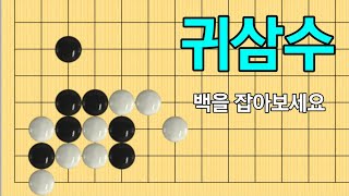 귀삼수 #1 (기본형부터 응용형까지)