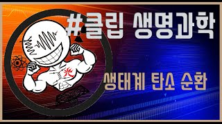 [클립 생명과학] 생태계 탄소 순환