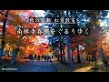 【4K】Kyoto Japan Walk〡Nanzen-ji temple autumn leaves spot 〡  ASMR  京都の紅葉散策 南禅寺界隈を歩く　ASMR 2021