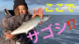 沼津レンタルボート　ここで釣れるんだ⁉️