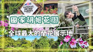 【今天去哪玩】新加坡旅遊 | 國家胡姬花園 | 新加坡植物園 | 伯基爾館 | 鳳梨館 | 新加坡旅遊vlog