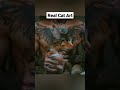 Hot guy tattoo & Cat  #amazing #video