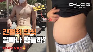 복부비만 탈출 간헐적 단식 해보기