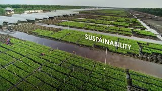 Indonesian Pulp & Paper Industry - APP Group