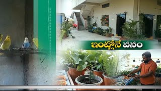 House Turns into Plant Nursery | Made by Mancherial Man | for Much Love on Gardening