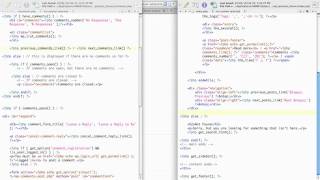 WordPress Tutorial: Customizing Comments Form 1/2 [HTML2WP screencast]