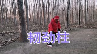 心意拳的韧劲，前后都能用经常操练对实战持别有效。