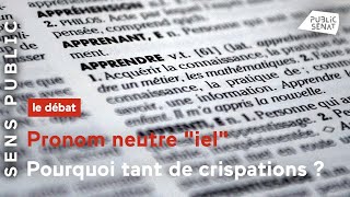 Pronom neutre « iel » : Pourquoi tant de crispations ?