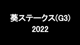 中央競馬予想 〜葵ステークス(G3)【中京11R】〜 2022/05/28 RoadToDerby2021-2022