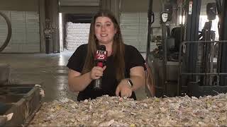How shredding old documents can help protect your identity, reduce waste