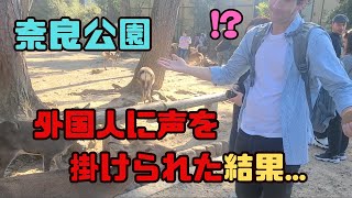 【奈良公園】外国人に声を掛けられました