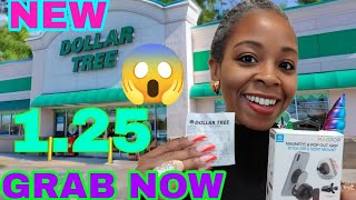 We Found the Coolest New Items at Dollar Tree! 2025