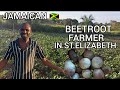 WATCH BEETROOT FARMER 