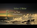 Weber & Weber - Frozen in Time