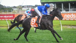 Caulfeild Racing Preview G3 Bletchingly Stakes Day (22.07.23) l Sky High Horse Racing